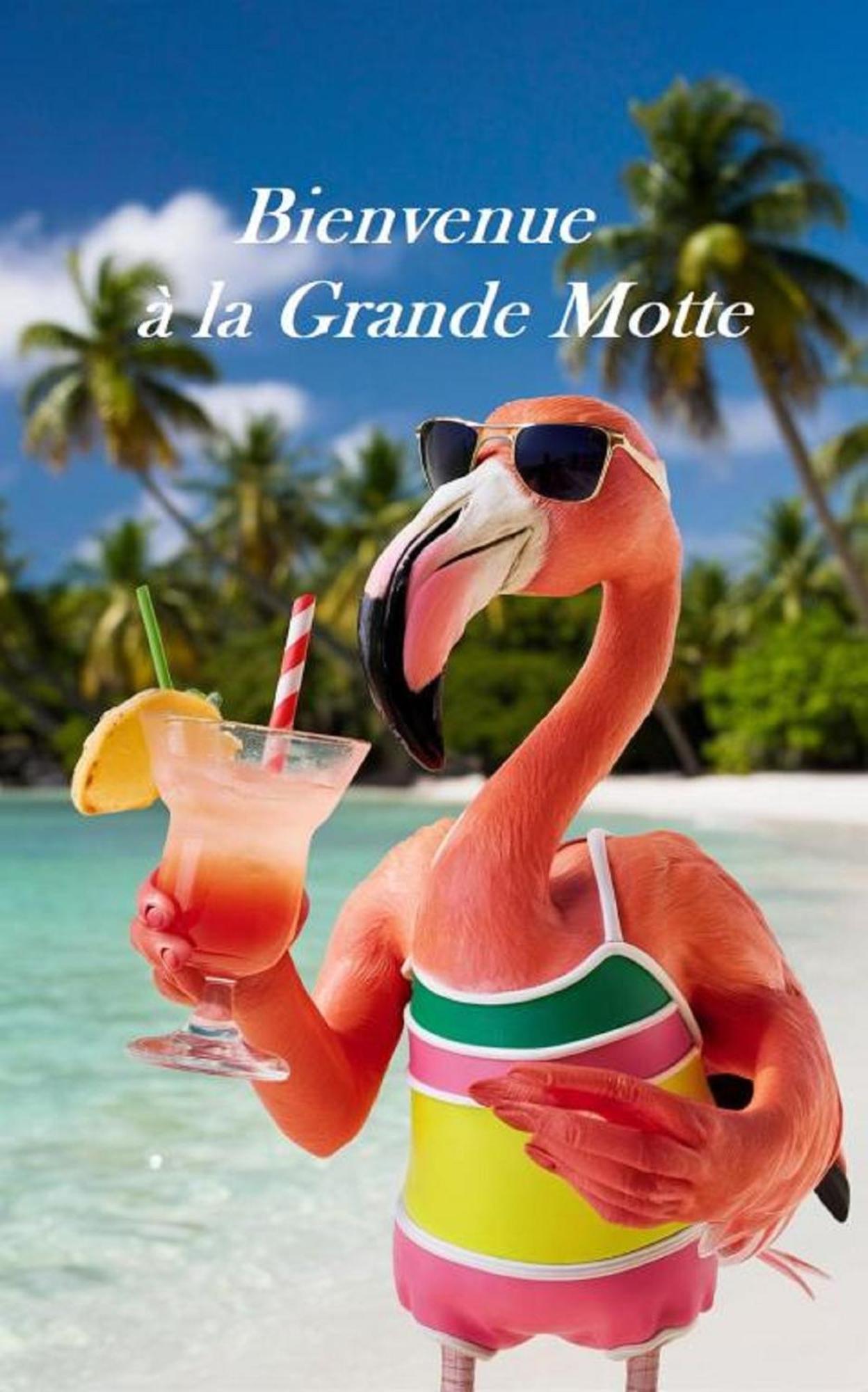 Mes vacances à la mer La Grande Motte Extérieur photo